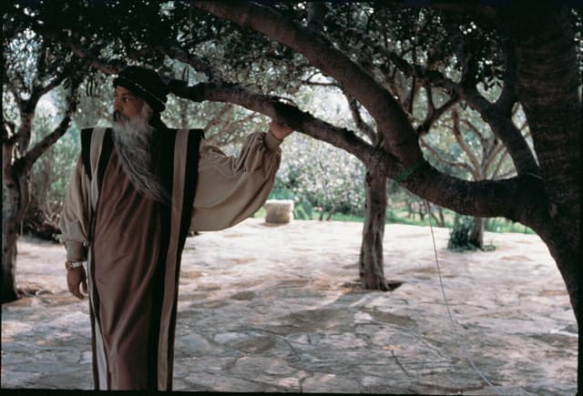 Rajneesh 
